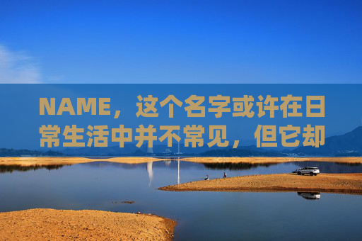 NAME，这个名字或许在日常生活中并不常见，但它却在某些领域里扮演着重要的角色。今天，让我们一起来探索这个名字背后的故事和意义